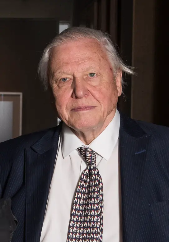 How tall is David Attenborough?